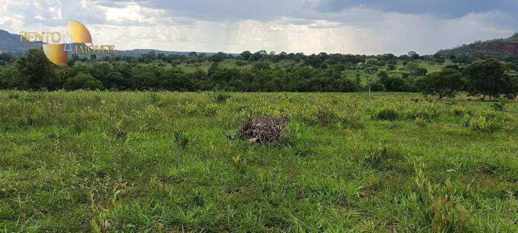 Fazenda à venda de 912 ha em Guiratinga, MT, Brasil