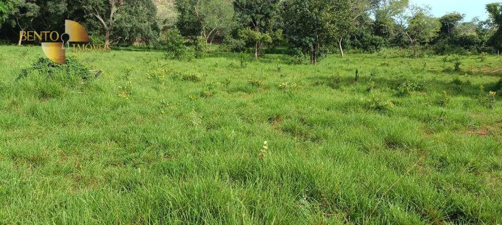 Fazenda à venda de 912 ha em Guiratinga, MT, Brasil