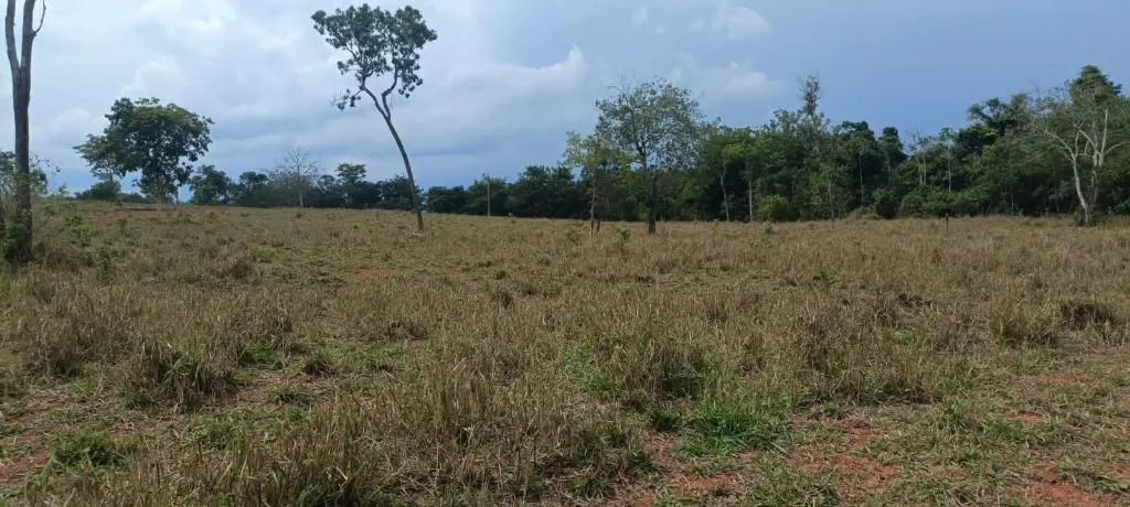 Fazenda à venda de 912 ha em Guiratinga, MT, Brasil