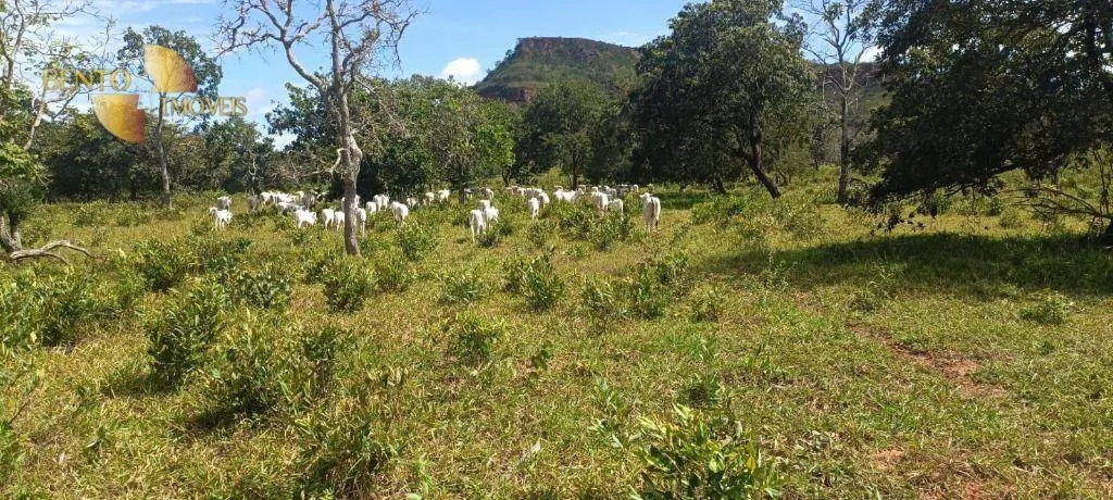 Fazenda à venda de 912 ha em Guiratinga, MT, Brasil