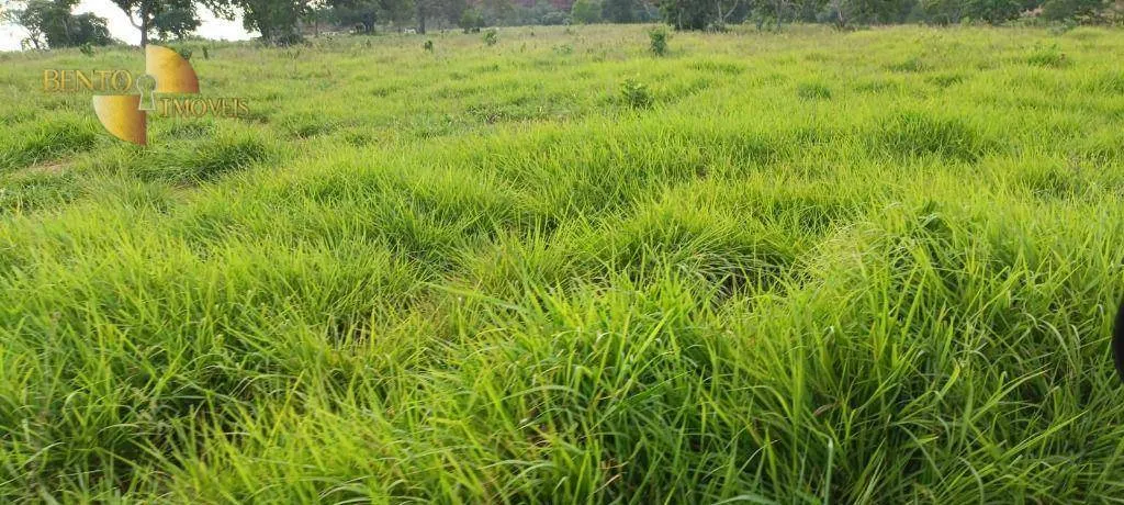 Fazenda à venda de 912 ha em Guiratinga, MT, Brasil