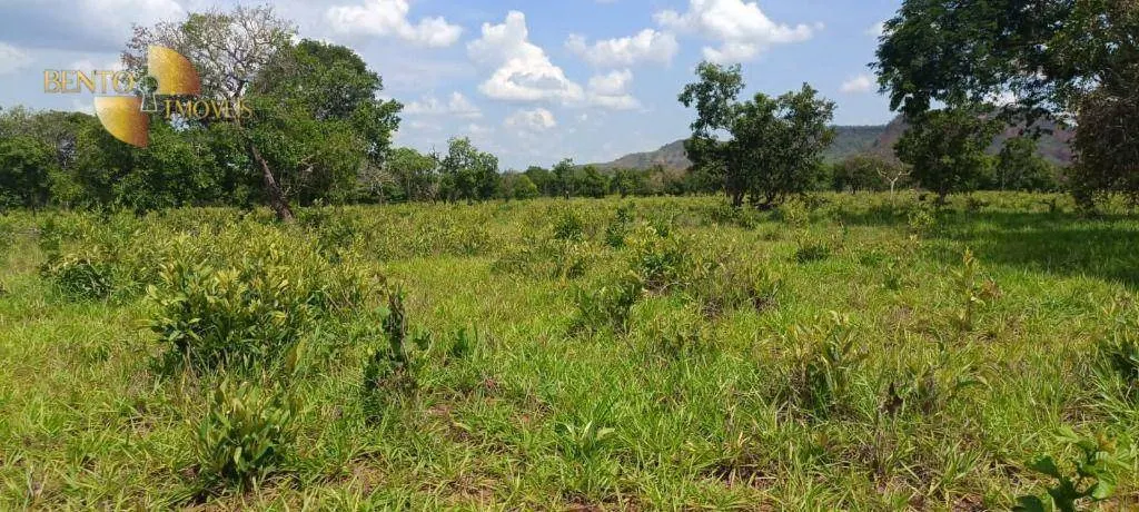 Fazenda à venda de 912 ha em Guiratinga, MT, Brasil