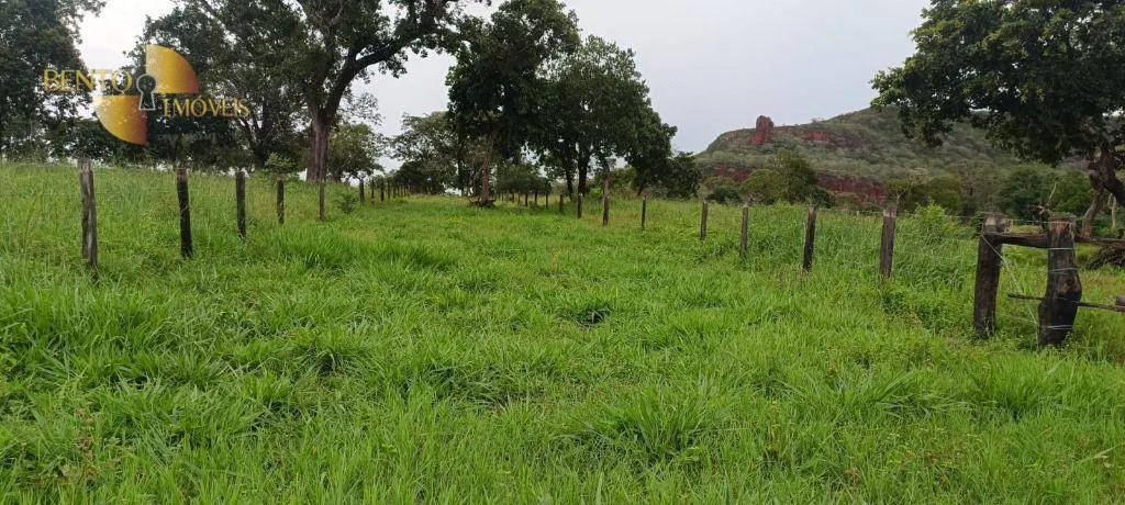 Fazenda à venda de 912 ha em Guiratinga, MT, Brasil
