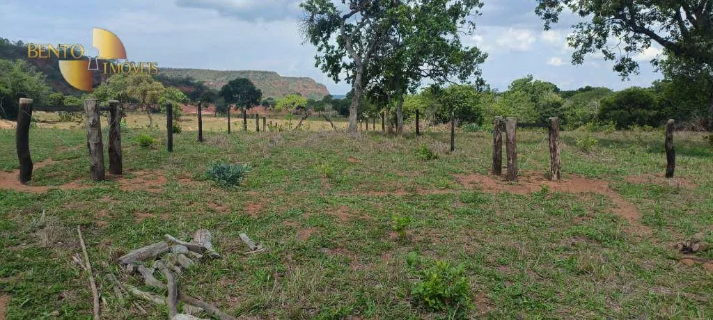Fazenda à venda de 912 ha em Guiratinga, MT, Brasil