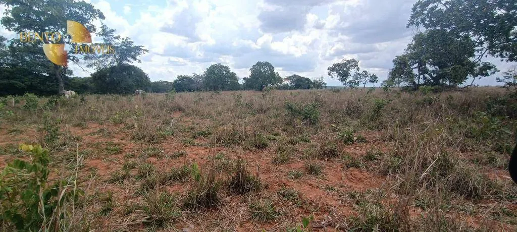 Fazenda à venda de 912 ha em Guiratinga, MT, Brasil