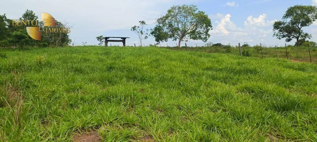 Fazenda à venda de 912 ha em Guiratinga, MT, Brasil