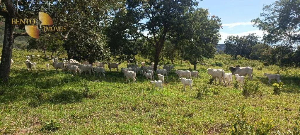 Fazenda à venda de 912 ha em Guiratinga, MT, Brasil