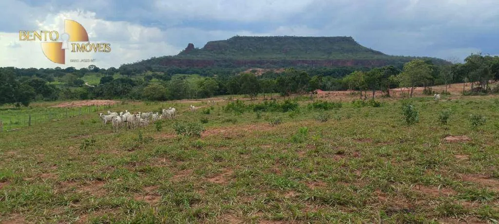 Fazenda à venda de 912 ha em Guiratinga, MT, Brasil