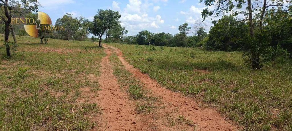 Fazenda à venda de 912 ha em Guiratinga, MT, Brasil