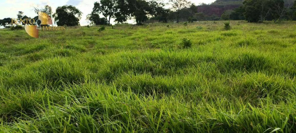 Fazenda à venda de 912 ha em Guiratinga, MT, Brasil