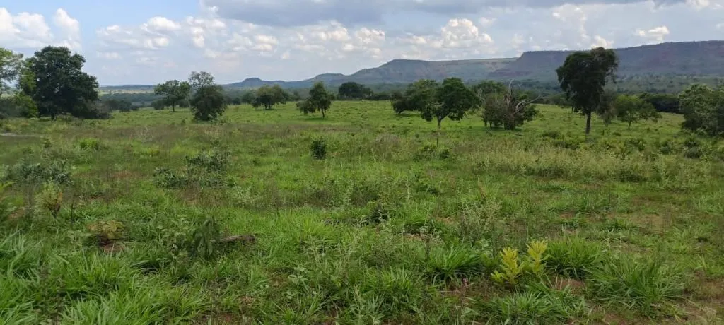 Fazenda à venda de 912 ha em Guiratinga, MT, Brasil