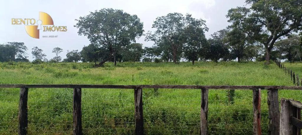 Fazenda à venda de 912 ha em Guiratinga, MT, Brasil