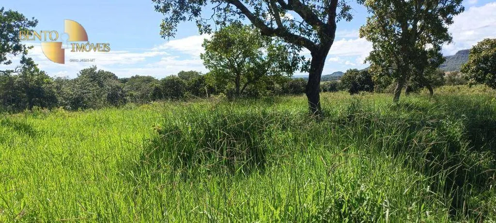 Fazenda à venda de 912 ha em Guiratinga, MT, Brasil