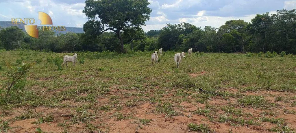 Fazenda à venda de 912 ha em Guiratinga, MT, Brasil