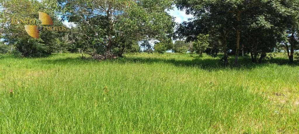 Fazenda à venda de 912 ha em Guiratinga, MT, Brasil