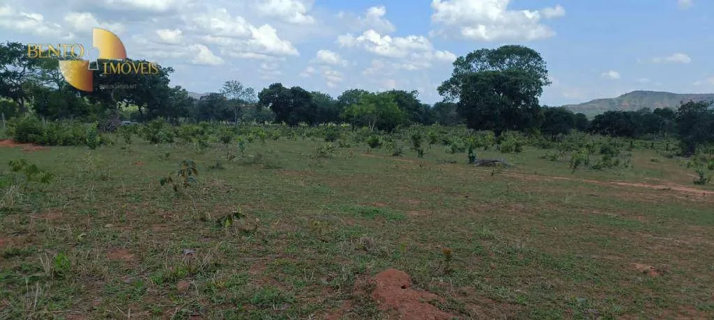 Fazenda à venda de 912 ha em Guiratinga, MT, Brasil