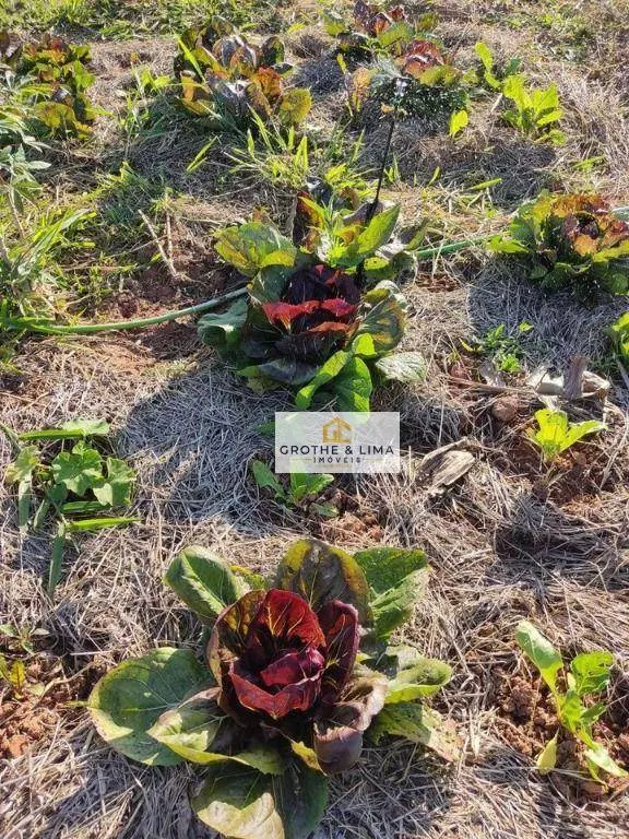 Sítio à venda de 11 ha em Jacareí, SP, Brasil