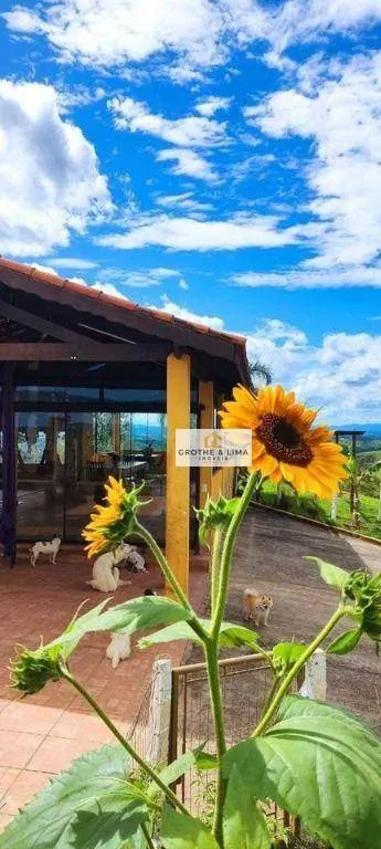 Sítio à venda de 11 ha em Jacareí, SP, Brasil
