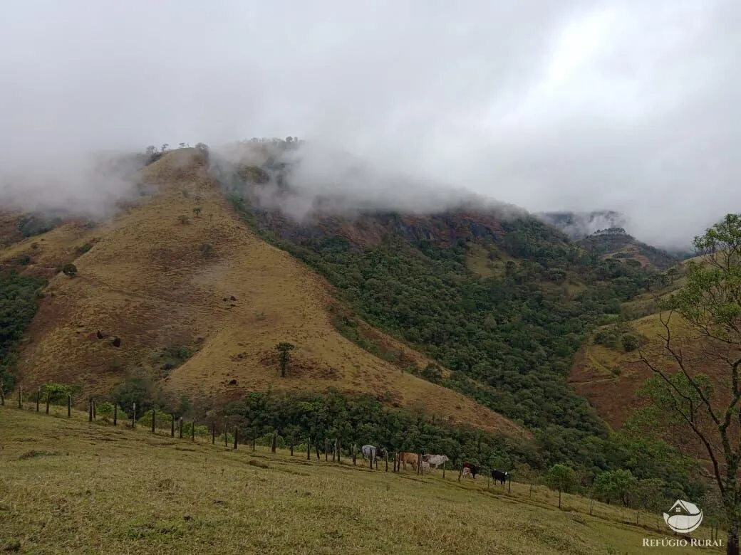 Terreno à venda de 2 ha em São José dos Campos, SP, Brasil