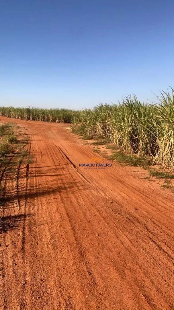 Fazenda à venda de 893 ha em Jaú, SP, Brasil