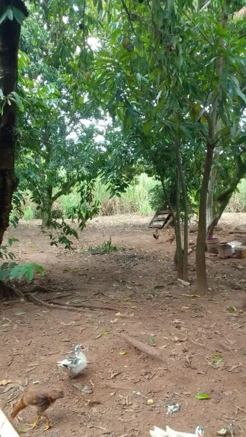 Sítio à venda de 31 ha em Ribeirão Bonito, SP, Brasil