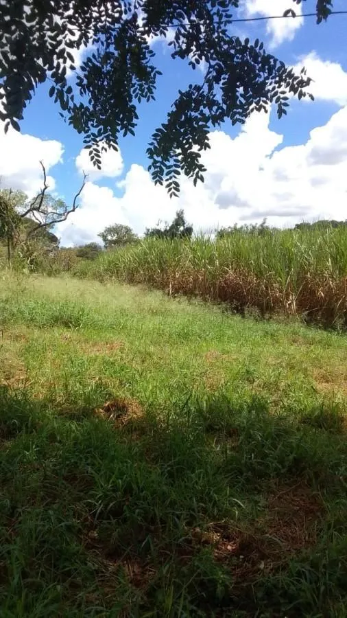Sítio à venda de 31 ha em Ribeirão Bonito, SP, Brasil