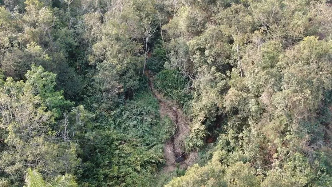 Sítio à venda de 8 ha em São Pedro, SP, Brasil