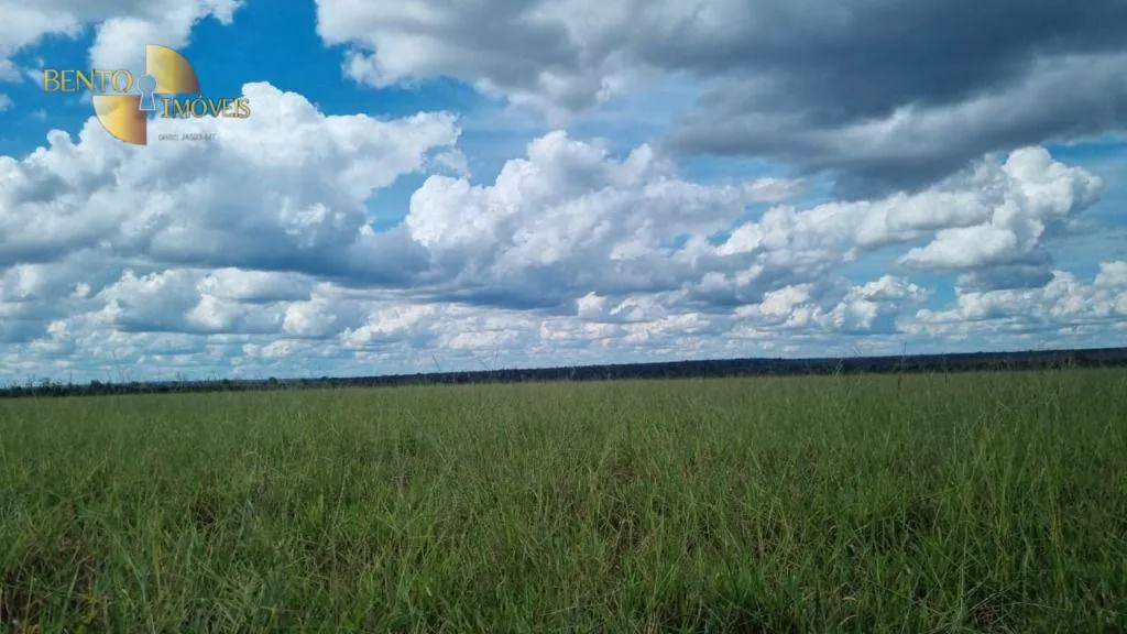 Fazenda à venda e para Arrendar de 5.150 ha em Feliz Natal, MT, Brasil