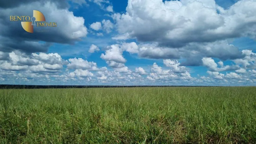 Fazenda à venda e para Arrendar de 5.150 ha em Feliz Natal, MT, Brasil