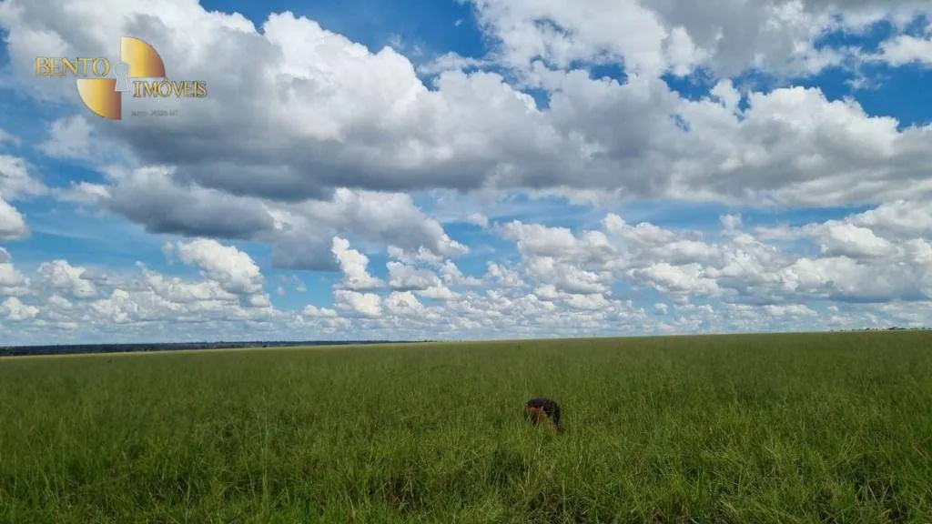 Fazenda à venda e para Arrendar de 5.150 ha em Feliz Natal, MT, Brasil