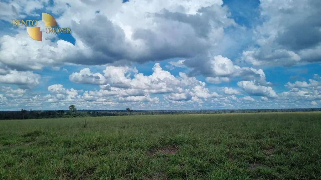 Fazenda à venda e para Arrendar de 5.150 ha em Feliz Natal, MT, Brasil