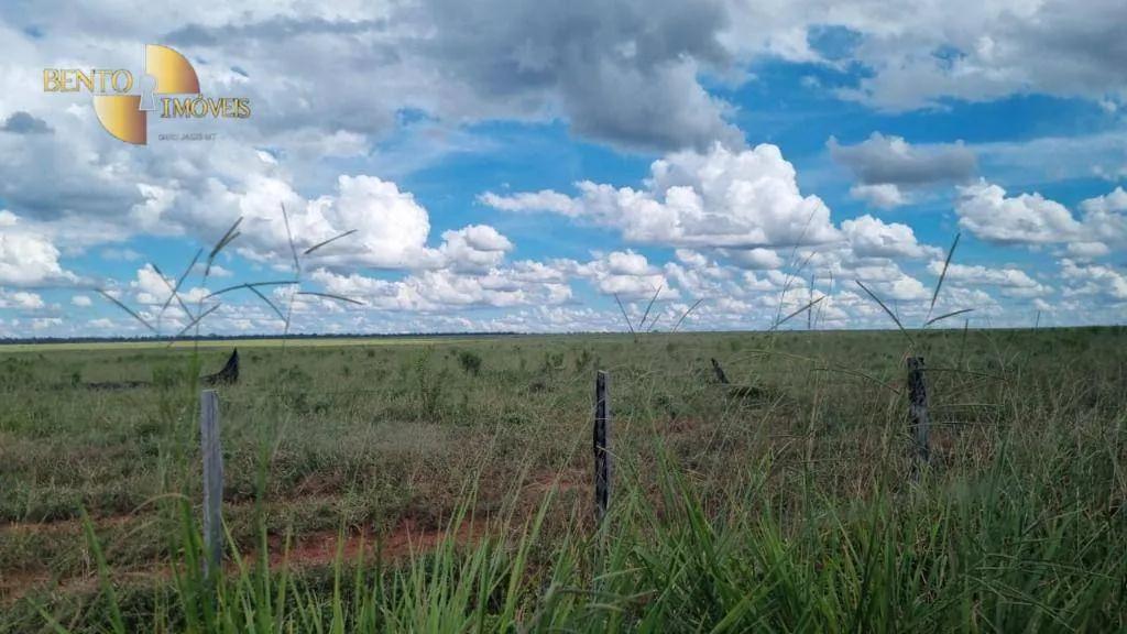 Fazenda à venda e para Arrendar de 5.150 ha em Feliz Natal, MT, Brasil