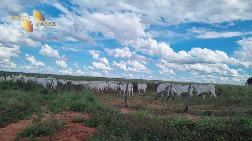 Fazenda à venda e para Arrendar de 5.150 ha em Feliz Natal, MT, Brasil
