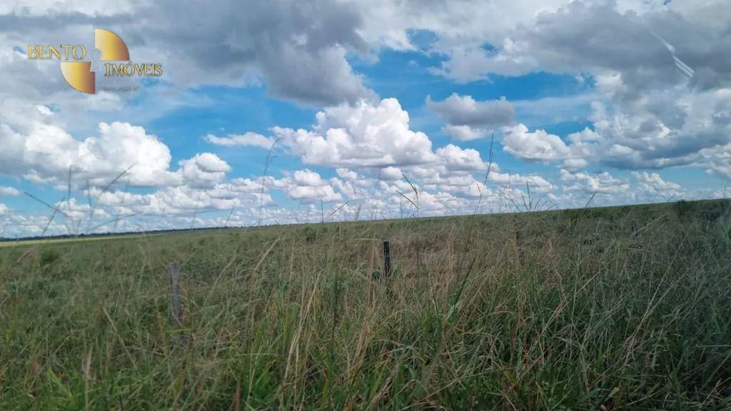 Fazenda à venda e para Arrendar de 5.150 ha em Feliz Natal, MT, Brasil
