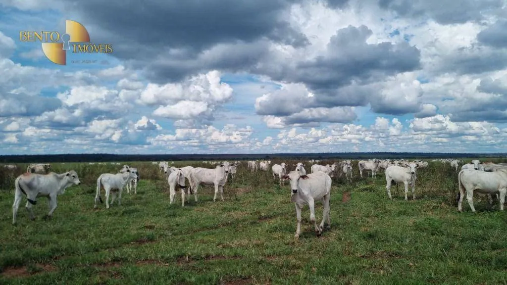 Fazenda à venda e para Arrendar de 5.150 ha em Feliz Natal, MT, Brasil