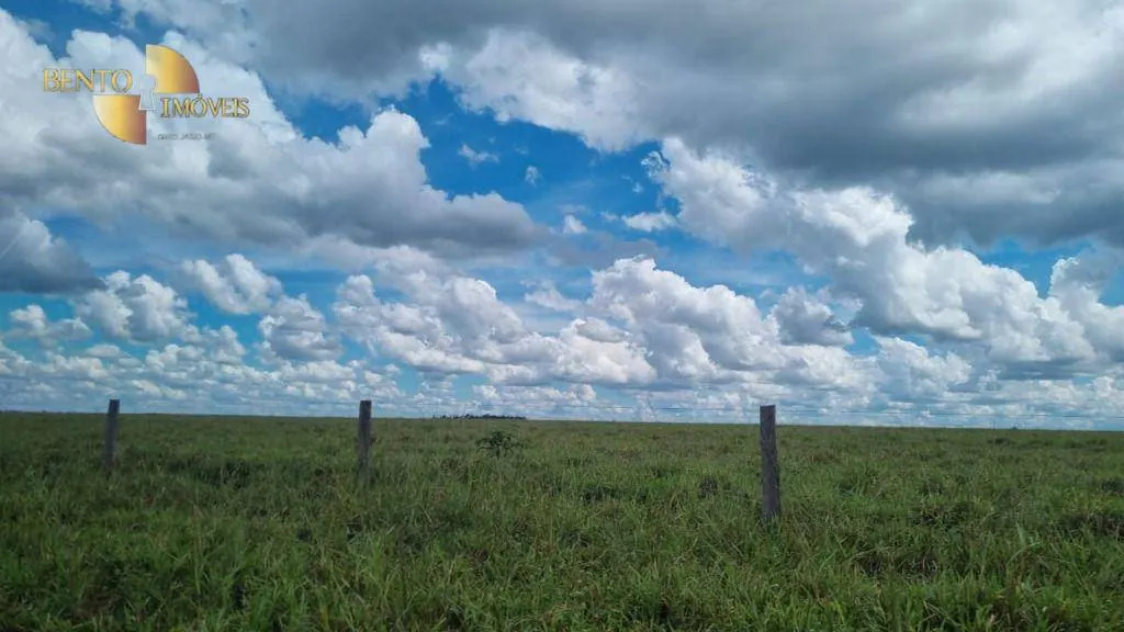 Fazenda à venda e para Arrendar de 5.150 ha em Feliz Natal, MT, Brasil
