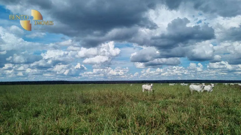 Fazenda à venda e para Arrendar de 5.150 ha em Feliz Natal, MT, Brasil