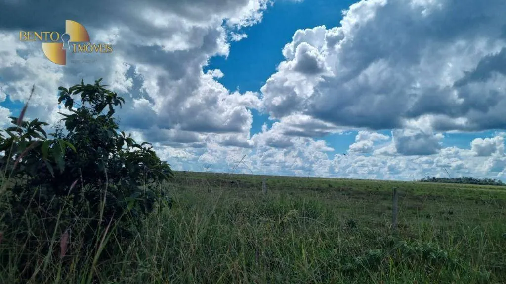 Fazenda à venda e para Arrendar de 5.150 ha em Feliz Natal, MT, Brasil