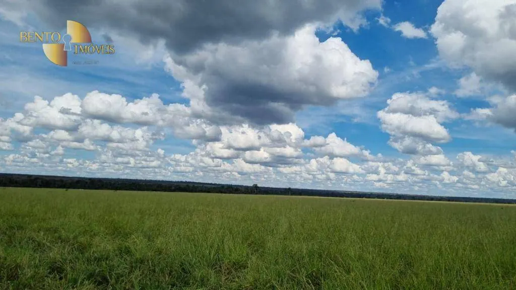 Fazenda à venda e para Arrendar de 5.150 ha em Feliz Natal, MT, Brasil