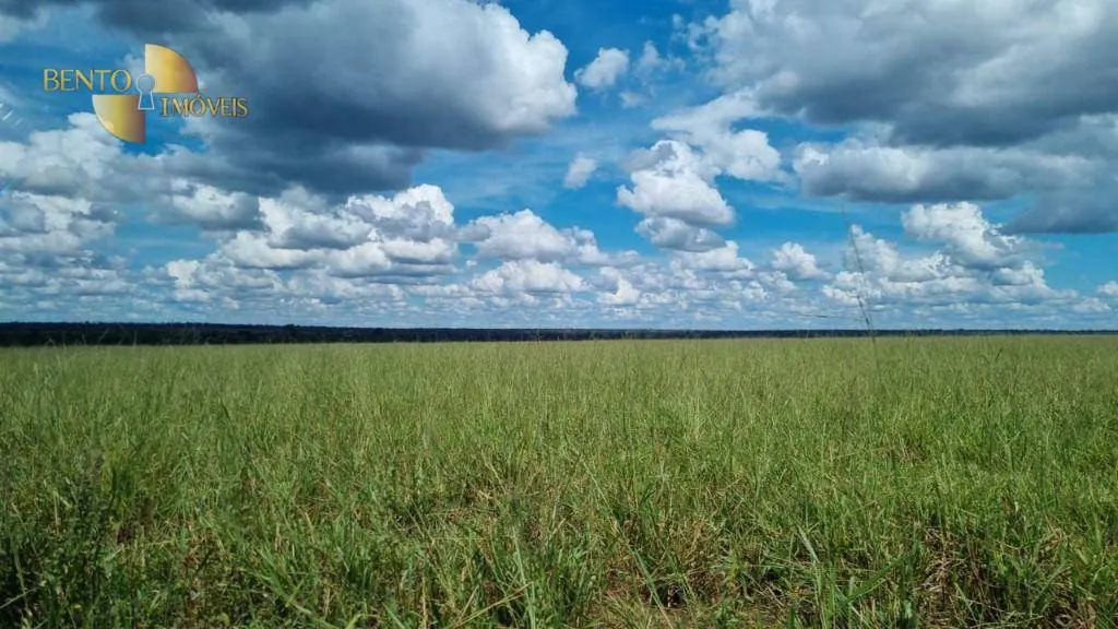 Fazenda à venda e para Arrendar de 5.150 ha em Feliz Natal, MT, Brasil