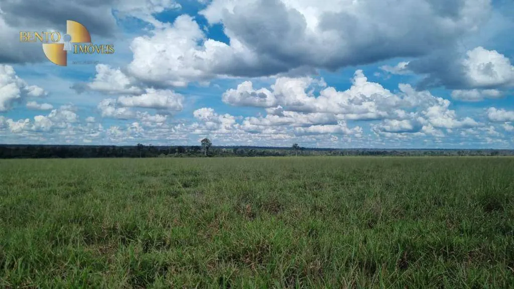 Fazenda à venda e para Arrendar de 5.150 ha em Feliz Natal, MT, Brasil