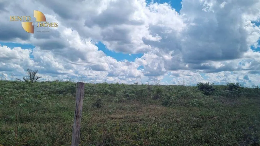 Fazenda à venda e para Arrendar de 5.150 ha em Feliz Natal, MT, Brasil