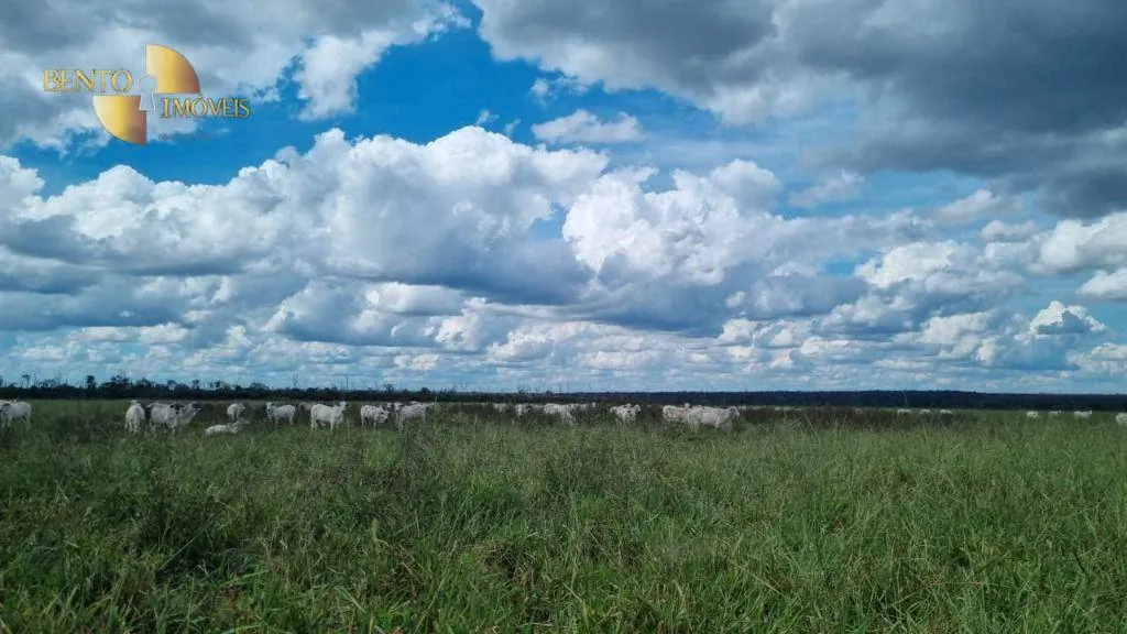 Fazenda à venda e para Arrendar de 5.150 ha em Feliz Natal, MT, Brasil