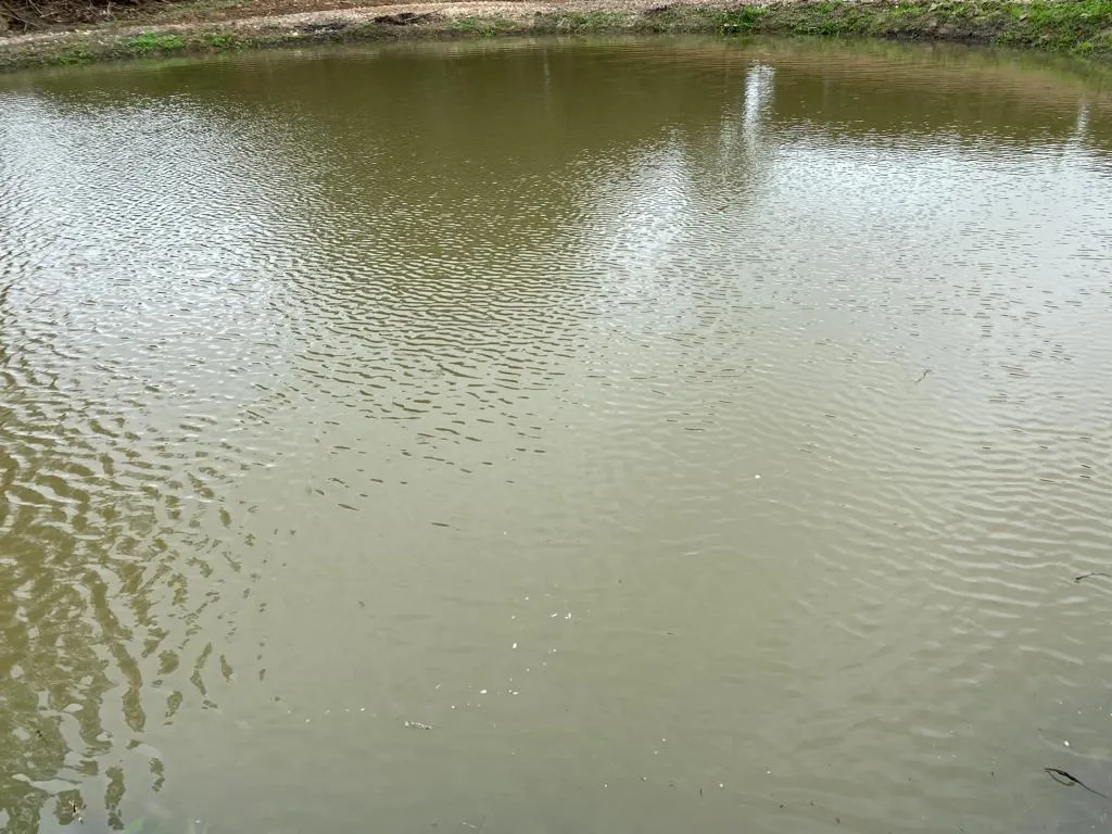 Chácara à venda de 10 ha em São Miguel Arcanjo, SP, Brasil