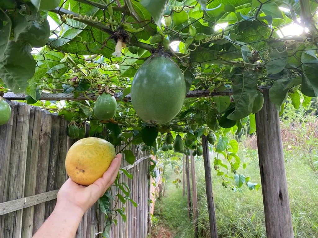 Chácara à venda de 10 ha em São Miguel Arcanjo, SP, Brasil