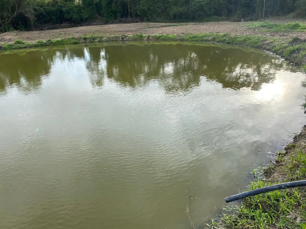Chácara à venda de 10 ha em São Miguel Arcanjo, SP, Brasil
