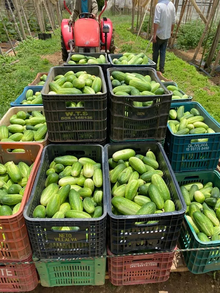 Chácara à venda de 10 ha em São Miguel Arcanjo, SP, Brasil