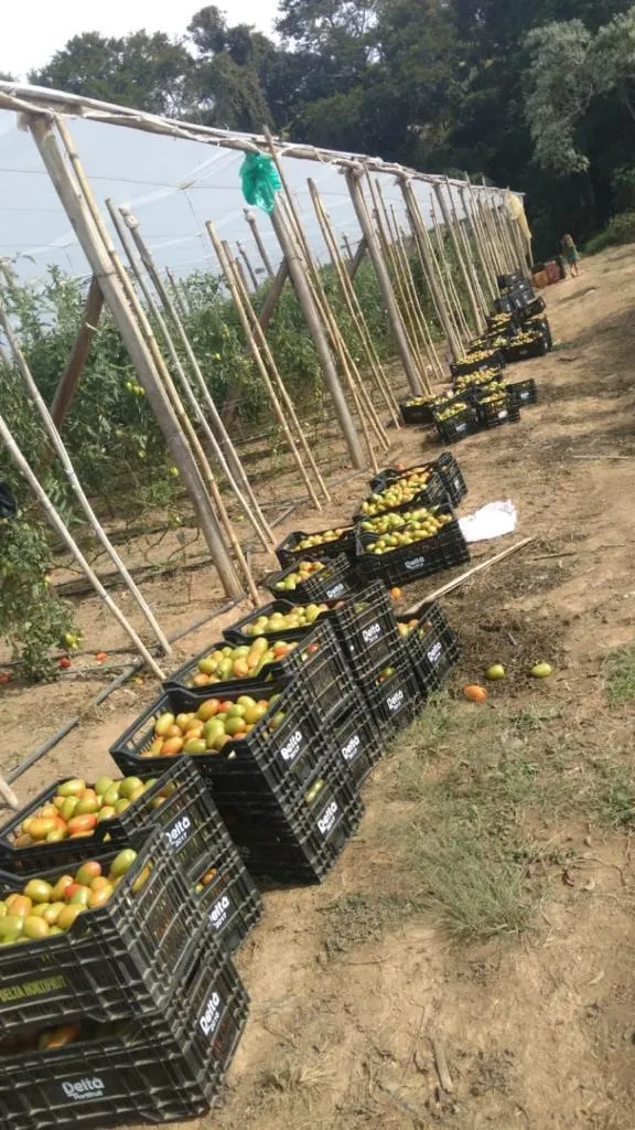 Chácara à venda de 10 ha em São Miguel Arcanjo, SP, Brasil