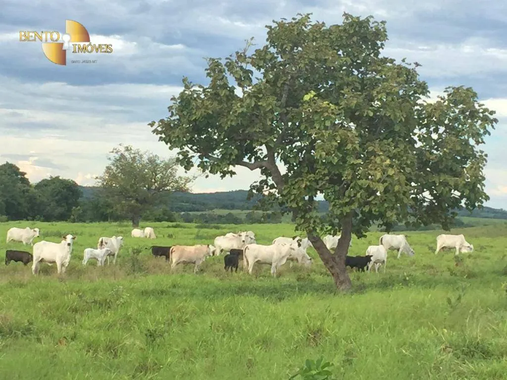 Fazenda à venda de 1.455 ha em Acorizal, MT, Brasil