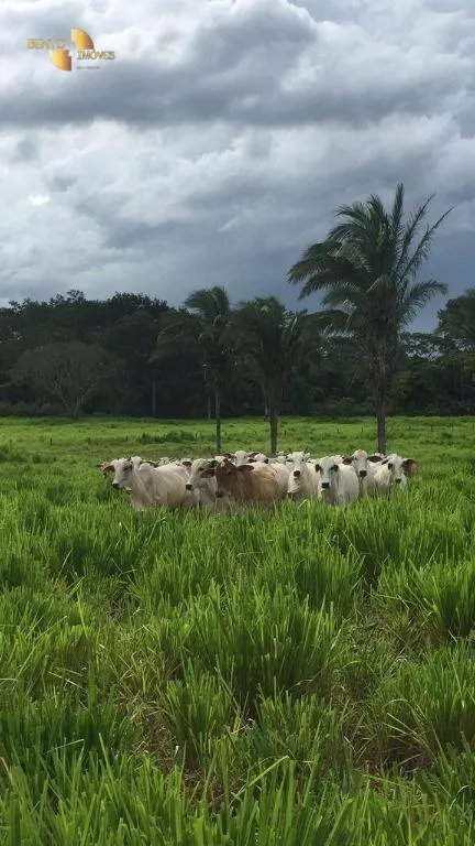 Fazenda à venda de 1.455 ha em Acorizal, MT, Brasil